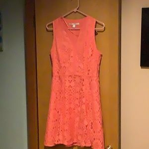 Lauren Conrad coral lace dress